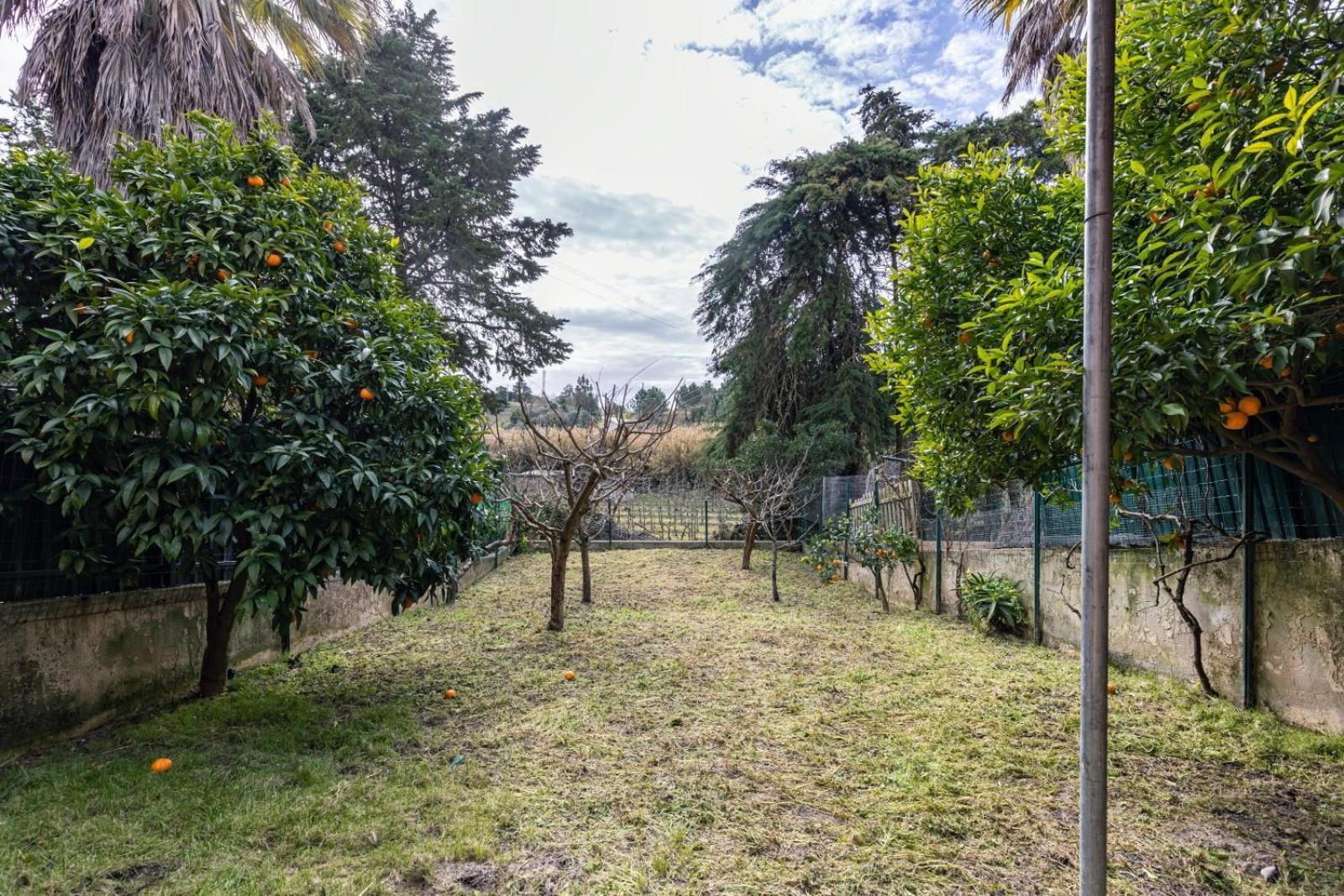 Villa Hidden Garden Near The Castle Óbidos Exterior foto